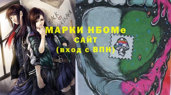 мдпв Инта