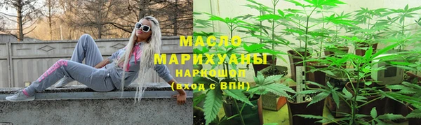 мдпв Инта