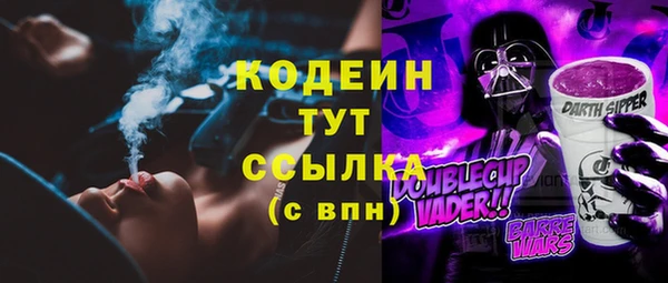 мдпв Инта